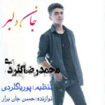 دانلود آهنگ محمدرضا گلردی جان دلبر