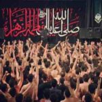 دانلود نوحه گر فضل تو را همه بدانند علی از جواد مقدم دانلود نوحه گر فضل تو را همه بدانند علی از جواد مقدم