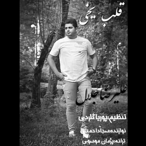 دانلود آهنگ قلب یخی علیرضا جلال دانلود آهنگ قلب یخی علیرضا جلال