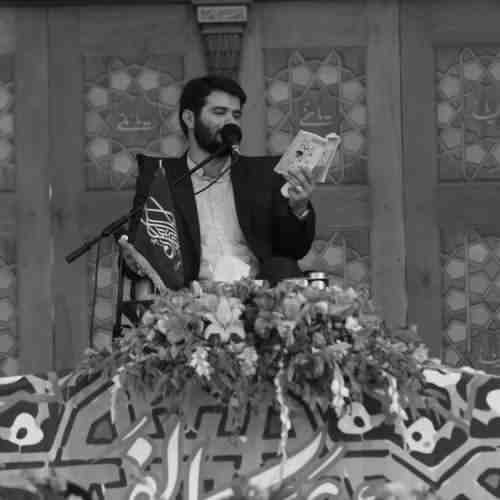 دانلود نوحه لبیک یا حسن جان از میثم مطیعی
