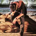 دانلود آهنگ حامد زمانی جهاد