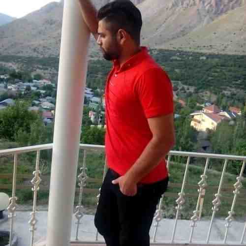 دانلود آهنگ پیمان گلردی کبوتر