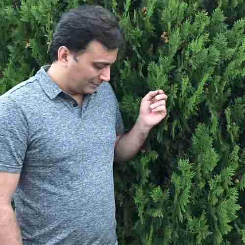 دانلود آهنگ مجید اخشابی حیفه دانلود آهنگ مجید اخشابی حیفه
