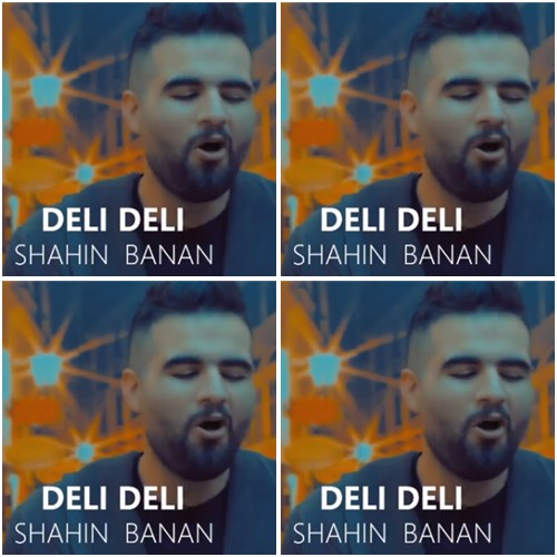دانلود آهنگ دلی دلی دلی دوست دارمت شاهین بنان