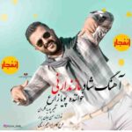 دانلود آهنگ پویا زارع شاد مازندرانی دانلود آهنگ پویا زارع شاد مازندرانی