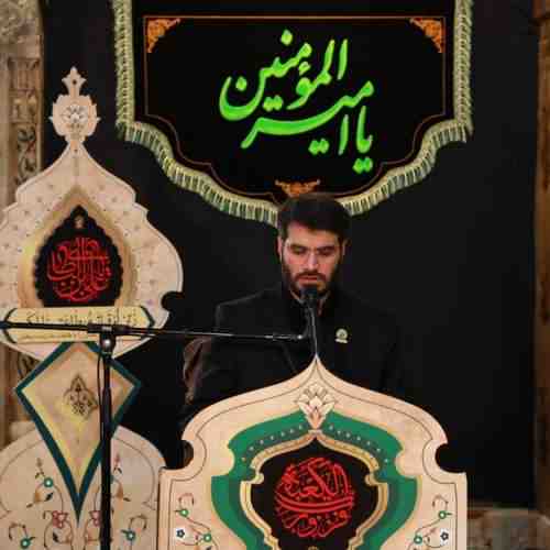 دانلود نوحه ممنون دستاتم علمدار از میثم مطیعی