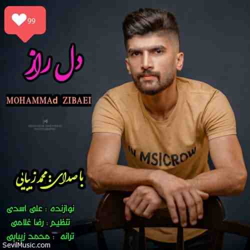 دانلود آهنگ محمد زیبایی دل راز دانلود آهنگ محمد زیبایی دل راز