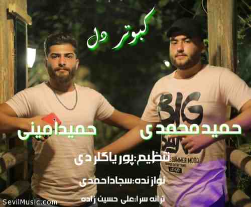 دانلود آهنگ حمید امینی و حمید محمدی کبوتر دل