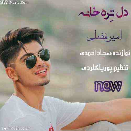 دانلود آهنگ امیر فضلی دل تره خواینه دانلود آهنگ امیر فضلی دل تره خواینه