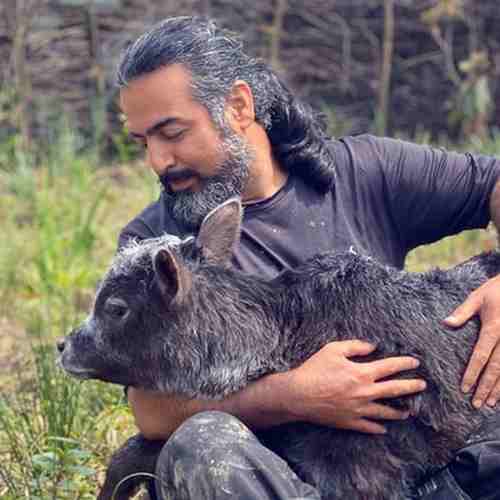 دانلود آهنگ پرواز همای سوگ سیاوش