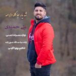 دانلود آهنگ علی حمیدی شه یارجه گله دارمه دانلود آهنگ علی حمیدی شه یارجه گله دارمه