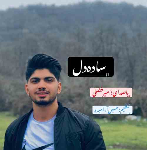 دانلود آهنگ امیر فضلی ساده دل دانلود آهنگ امیر فضلی ساده دل