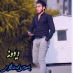 دانلود آهنگ محمدرضا شاکری دیوونه