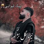 دانلود آهنگ نیما گلنژاد پیک لیوانی