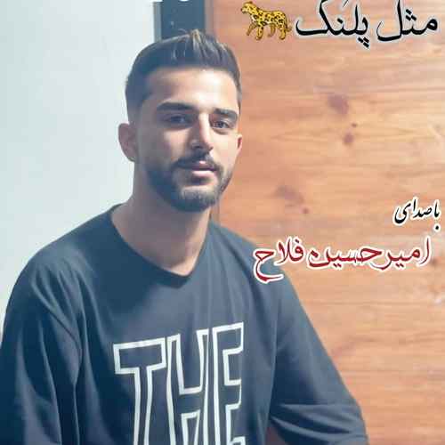 دانلود آهنگ امیرحسین فلاح مثل پلنگ