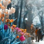 دانلود آهنگ گجلریم حرام حرام حرا اونا دیین گلسین