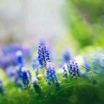 دانلود آهنگ مهدی فرجی جیردی بالدی یاریم حالیم یاماندی یاریم