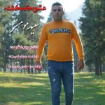 دانلود آهنگ سعید مومنی عشق گمگشته