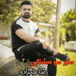 دانلود آهنگ رضا علیزاده دلبر مو مشکی