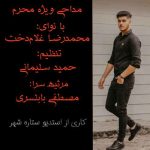 دانلود نوحه سردار دشت کربلا محمدرضا غلامدخت دانلود نوحه سردار دشت کربلا محمدرضا غلامدخت