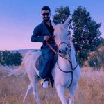 دانلود آهنگ نچیر هورامی نامه کانت