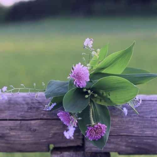 دانلود آهنگ ودات آلچای جانیم گولوشلرینه حیرانیم