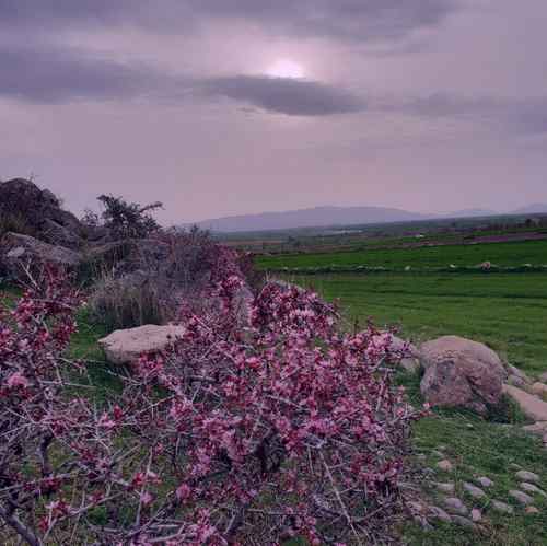 دانلود آهنگ آرتوش اگه بمونی دیگه آزارت نمیدم