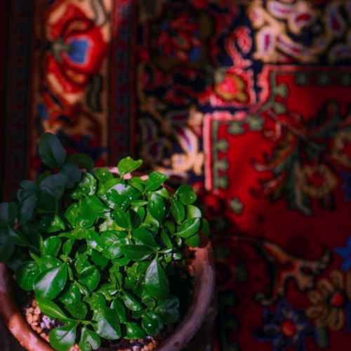 دانلود آهنگ یه وقت یادت نره زنده ای