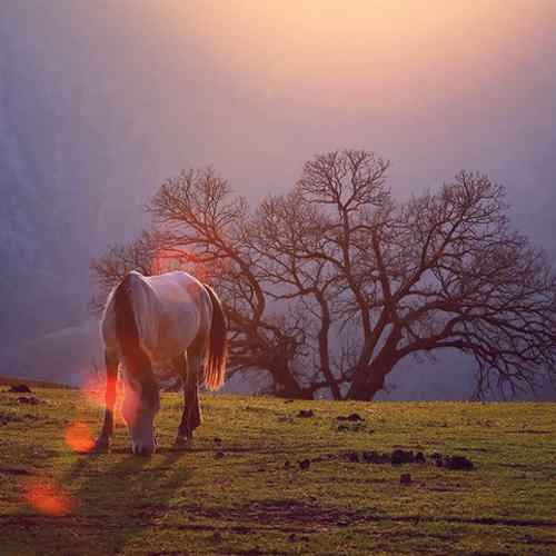 دانلود آهنگ بختیار صالح سه رخه سه ر بالم