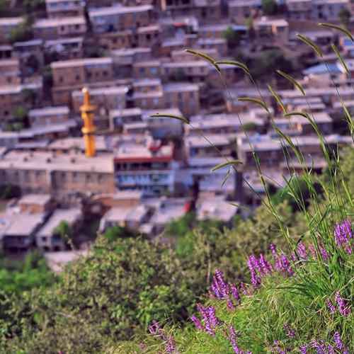 دانلود آهنگ بختیار صالح وه گوله جوانه که ی