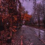 دانلود آهنگ سنا برزنجه کوچ