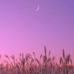 دانلود آهنگ دلبری دل میبری