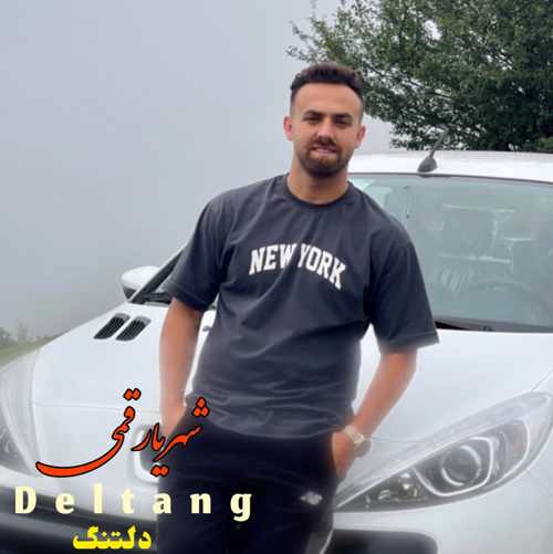 دانلود آهنگ شهریار قمی دلتنگ دانلود آهنگ شهریار قمی دلتنگ