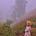 دانلود آهنگ منوچهر سخایی خودت گل دهنت گل