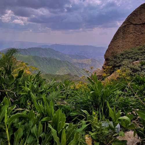 دانلود آهنگ امید رسول پور وهره گیان دانلود آهنگ امید رسول پور وهره گیان