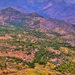 دانلود آهنگ قادر الیاسی غزال