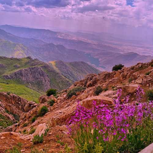 دانلود آهنگ قادر الیاسی له بیرم دی