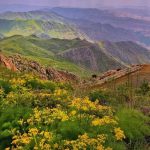 دانلود آهنگ سیروس امامی ئامان هی ئامان
