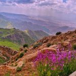 دانلود آهنگ سیروس امامی کانی مورادان