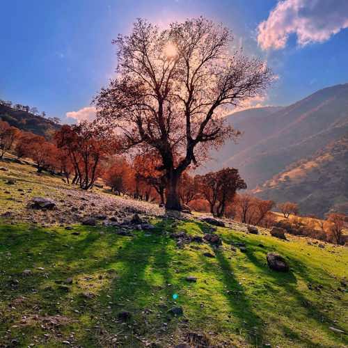 دانلود آهنگ سیروس امامی مه ریه م بوکانی