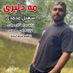 دانلود آهنگ سهیل محمدی می دلبری