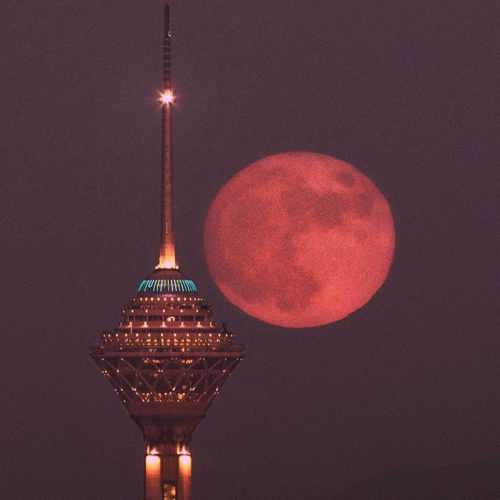 دانلود آهنگ تلخم همچو شراب تو ببین حال مرا