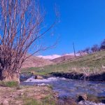 دانلود آهنگ پیشرو هورامی بازه‌که‌م به‌ربوو