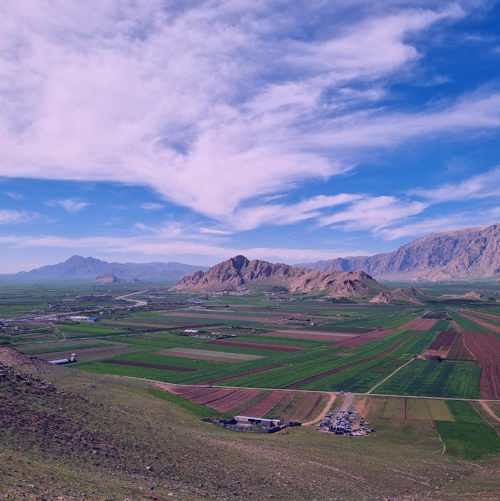 دانلود آهنگ پیشرو هورامی بو تورای