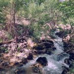 دانلود آهنگ پیشرو هورامی چاوره ش چاو کالم