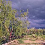 دانلود آهنگ پیشرو هورامی په‌یمانی به‌ستین