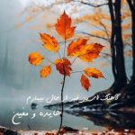 دانلود آهنگ ای بی خبر از حال بیمارم