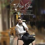 دانلود آهنگ مجید حسینی پر قو