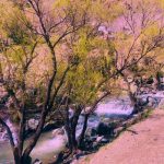 دانلود آهنگ سنا برزنجه کوره رشتاله