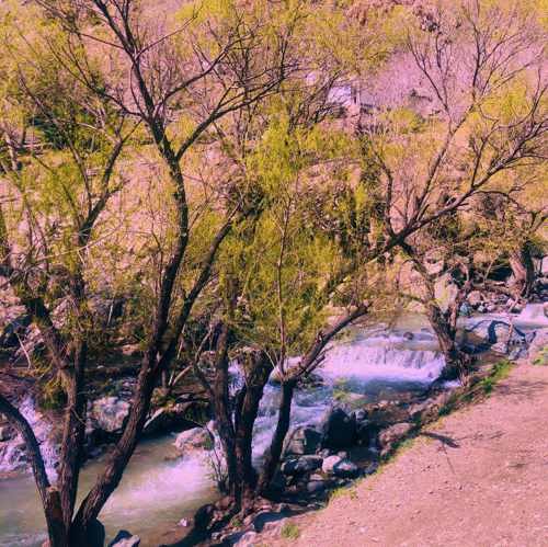 دانلود آهنگ سنا برزنجه کوره رشتاله